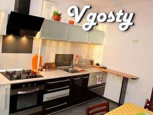 2While-kіmnatna in tsentrі 4 lyudey.700m.vіd pump room - Apartments for daily rent from owners - Vgosty