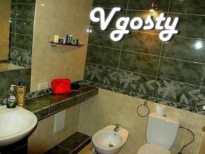 2While-kіmnatna in tsentrі 4 lyudey.700m.vіd pump room - Apartments for daily rent from owners - Vgosty
