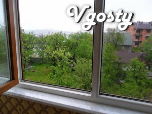 Stylnaya apartment, 5 minutes. from pump room. - Apartments for daily rent from owners - Vgosty