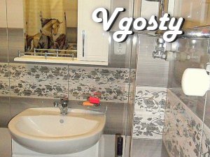 Stylnaya apartment, 5 minutes. from pump room. - Apartments for daily rent from owners - Vgosty