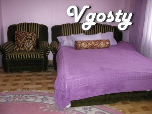 Rent apartments in Truskavets near Kozyavkin - Apartments for daily rent from owners - Vgosty