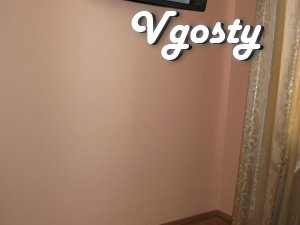 Rent in Truskavets near the center Kozijavkin - Apartments for daily rent from owners - Vgosty