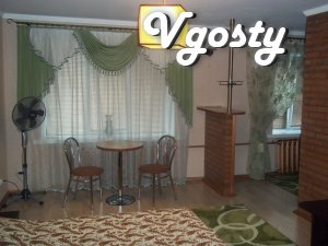 VIP - center. - Apartments for daily rent from owners - Vgosty