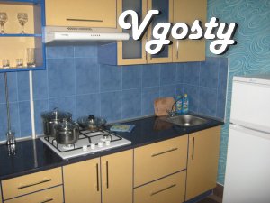 Подобово з ремонтом, р-н. Автовокзала. - Apartments for daily rent from owners - Vgosty