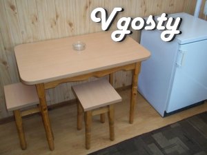 The apartment is renovated - Downtown. - Apartments for daily rent from owners - Vgosty