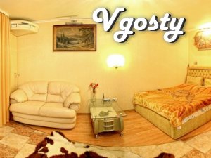 FASHION STUDIO on pl.UShAKOVA, the owner-IS EVERYTHING !!! - Apartments for daily rent from owners - Vgosty