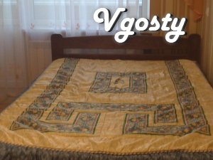 seems 1-bedroom apartment - Apartments for daily rent from owners - Vgosty
