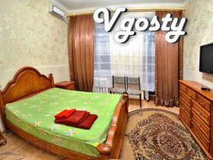 The apartment is in the center of the newly renovated luxury - Apartments for daily rent from owners - Vgosty