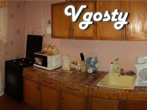 1-room. at night, WiFi, TV, near Silpo - Apartments for daily rent from owners - Vgosty