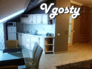 Elitny tsenre apartment in Truskavets. To pump room 5 minutes walk (70 - Apartments for daily rent from owners - Vgosty