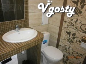 Cozy 1 bedroom apartment c WIFI in the center of Truskavets, to the pu - Apartments for daily rent from owners - Vgosty