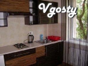 One bedroom apartment 10 minutes to the center of the pump room 7 min  - Apartments for daily rent from owners - Vgosty