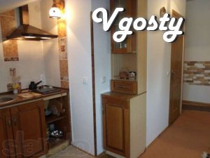 Nice apartment with WIFI 10 minutes from the pump-room - Apartments for daily rent from owners - Vgosty
