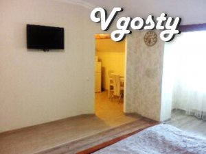 Nice apartment 700m from the pump-room - Apartments for daily rent from owners - Vgosty