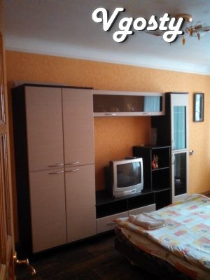 Cozy apartment in the city center - Apartments for daily rent from owners - Vgosty
