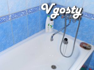 1-bedroom apartment in the center of the city - Apartments for daily rent from owners - Vgosty