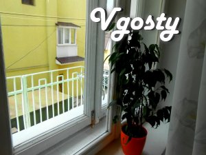 1-кімнатна квартира в центрі міста - Квартири подобово без посередників - Vgosty