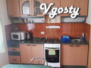 Well-groomed apartment in the center, 3 minutes. park and pump room, p - Apartments for daily rent from owners - Vgosty