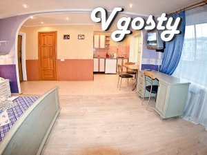 Однокімнатна студія в центрі Києва для проживання подобово - Квартири подобово без посередників - Vgosty