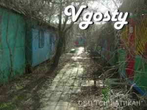 Відпочинок на піщаному березі Чорного моря - Квартири подобово без посередників - Vgosty