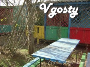 Relax on the sandy shores of the Black Sea - Apartments for daily rent from owners - Vgosty