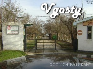 Відпочинок на піщаному березі Чорного моря - Квартири подобово без посередників - Vgosty