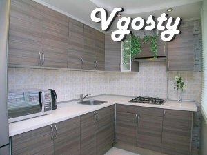 I rent a cozy one-bedroom apartment ul.Bykova 3 - Apartments for daily rent from owners - Vgosty