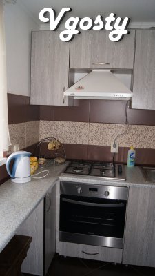 Komfortabalna apartment in Ivano-Frankivsk from owner - Apartments for daily rent from owners - Vgosty