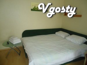 Comfortable apartment! Centre - Apartments for daily rent from owners - Vgosty