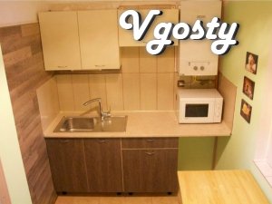 The apartment in the city center, a 5-minute walk to Market Square - Apartments for daily rent from owners - Vgosty