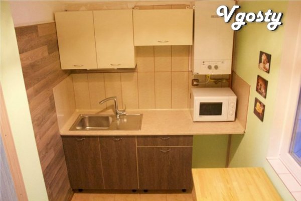 The apartment in the city center, a 5-minute walk to Market Square - Apartments for daily rent from owners - Vgosty