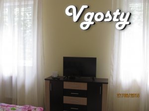 The center, under the castle Uzhgorod - Apartments for daily rent from owners - Vgosty