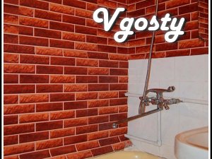 1 room apartment in the center of Poltava - Apartments for daily rent from owners - Vgosty