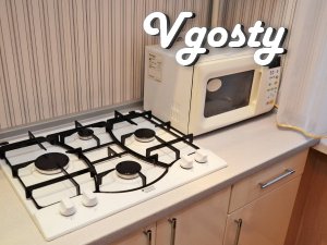 Center Street. Kirov, 16. Suite. Wi Fi - Apartments for daily rent from owners - Vgosty