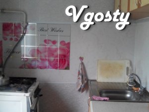 APARTMENT FOR RENT Dneprodzerzhinsk - Apartments for daily rent from owners - Vgosty