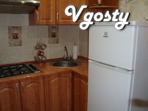 Center Stalevarov Meduniver, Kozak Palace for 6 people - Apartments for daily rent from owners - Vgosty