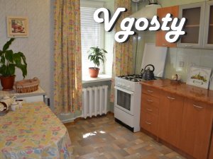 Cozy apartment in the center of the city - Apartments for daily rent from owners - Vgosty