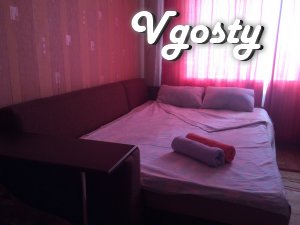One-bedroom apartment in the Center area - Apartments for daily rent from owners - Vgosty