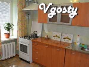 Нова квартира в центрі міста - Квартири подобово без посередників - Vgosty