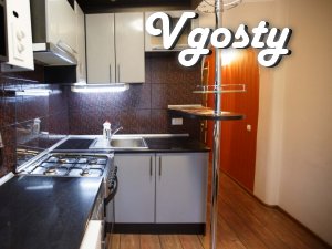 Comfortable apartment in the heart of the city. Owner - Apartments for daily rent from owners - Vgosty