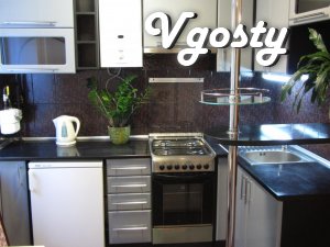 Comfortable apartment in the heart of the city. Owner - Apartments for daily rent from owners - Vgosty