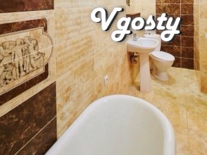 Cozy one-bedroom apartment in the center of Lviv - Apartments for daily rent from owners - Vgosty