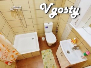 Single-native apartment ventricular areas of the market - Apartments for daily rent from owners - Vgosty