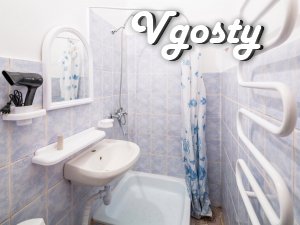 One bedroom apartment near high castle - Apartments for daily rent from owners - Vgosty