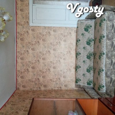 Комната Посуточно Центр пр Ушакова - Apartamentos en alquiler por el propietario - Vgosty