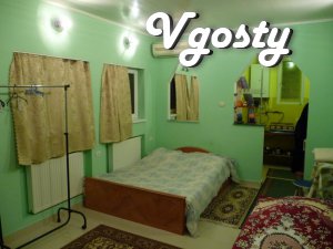Beregovo! Apartment - Apartments for daily rent from owners - Vgosty
