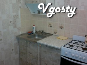 Apartment 1 room opposite the main market - Apartments for daily rent from owners - Vgosty