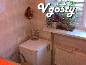 Bedroom is not expensive with private facilities - Apartments for daily rent from owners - Vgosty