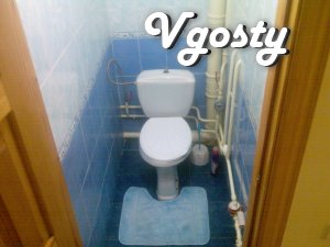 not expensive rent a cozy apartment - Apartments for daily rent from owners - Vgosty