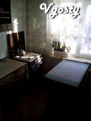 2shka apartment near the center - Apartments for daily rent from owners - Vgosty